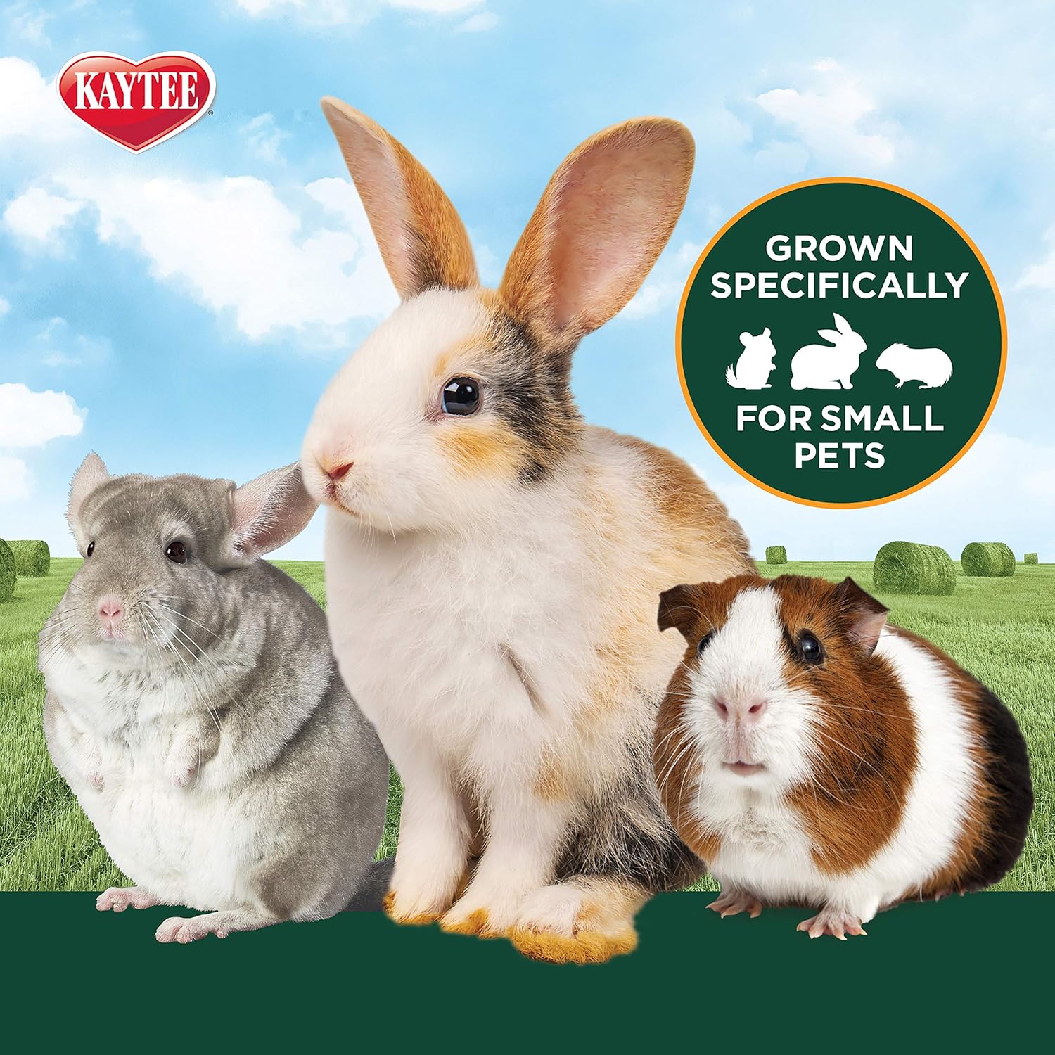 Kaytee Timothy Hay Plus Variety Pack 3 Pack - Performance Testing