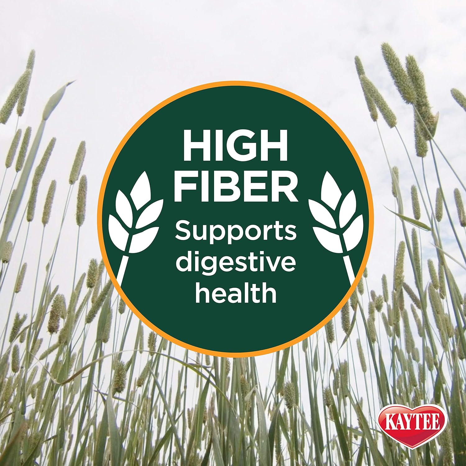 Kaytee Timothy Hay Plus Variety Pack 3 Pack - How It Compares