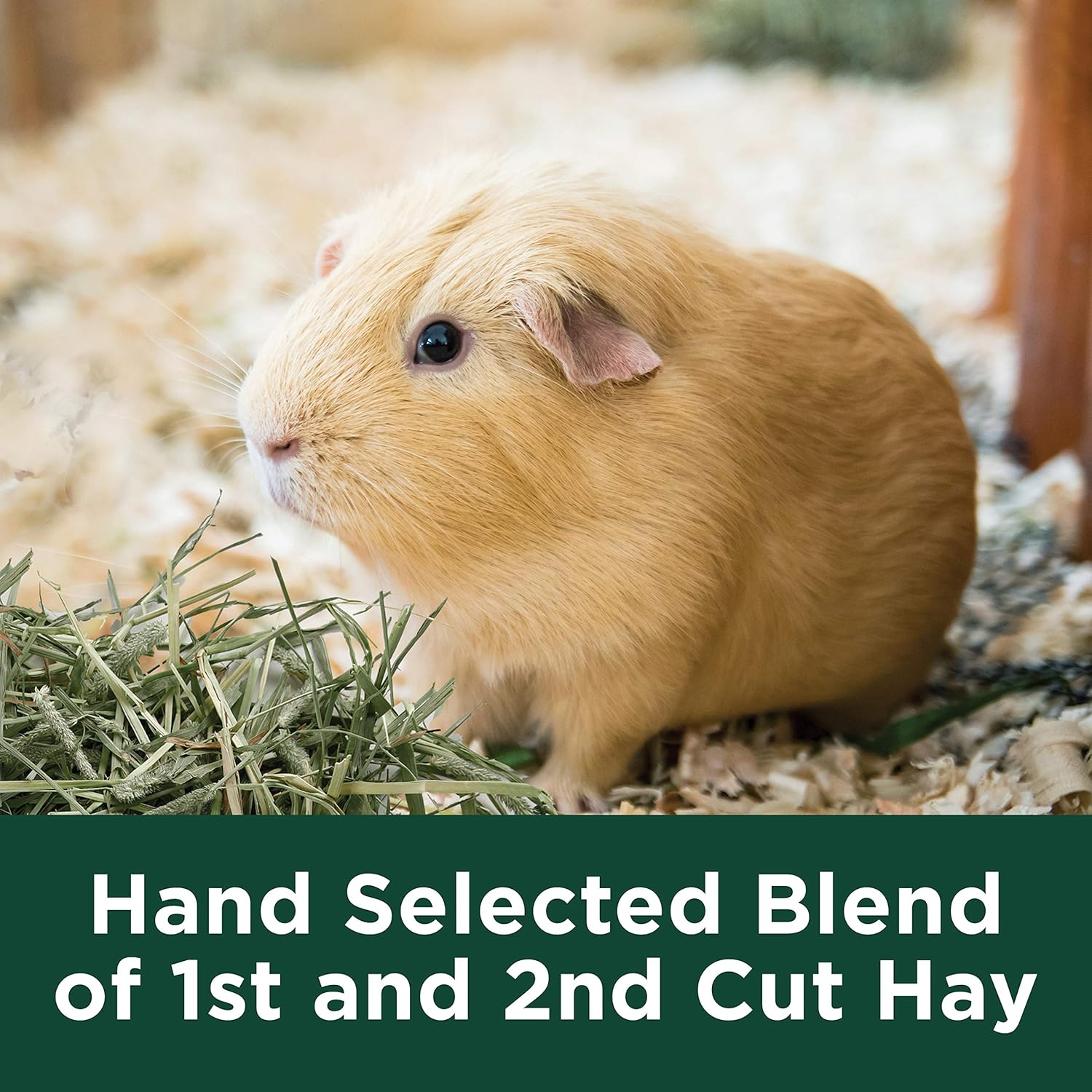 Kaytee Timothy Hay Plus Variety Pack 3 Pack - Is It Worth the Price?