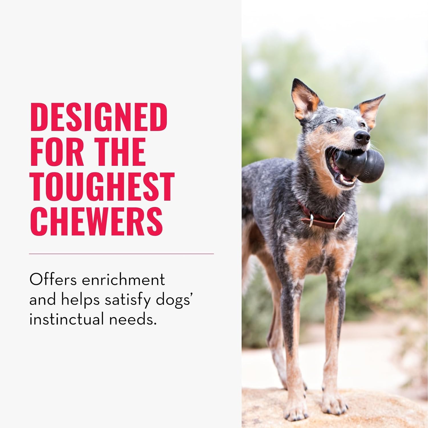 KONG Classic Dog Toy - The Value Equation