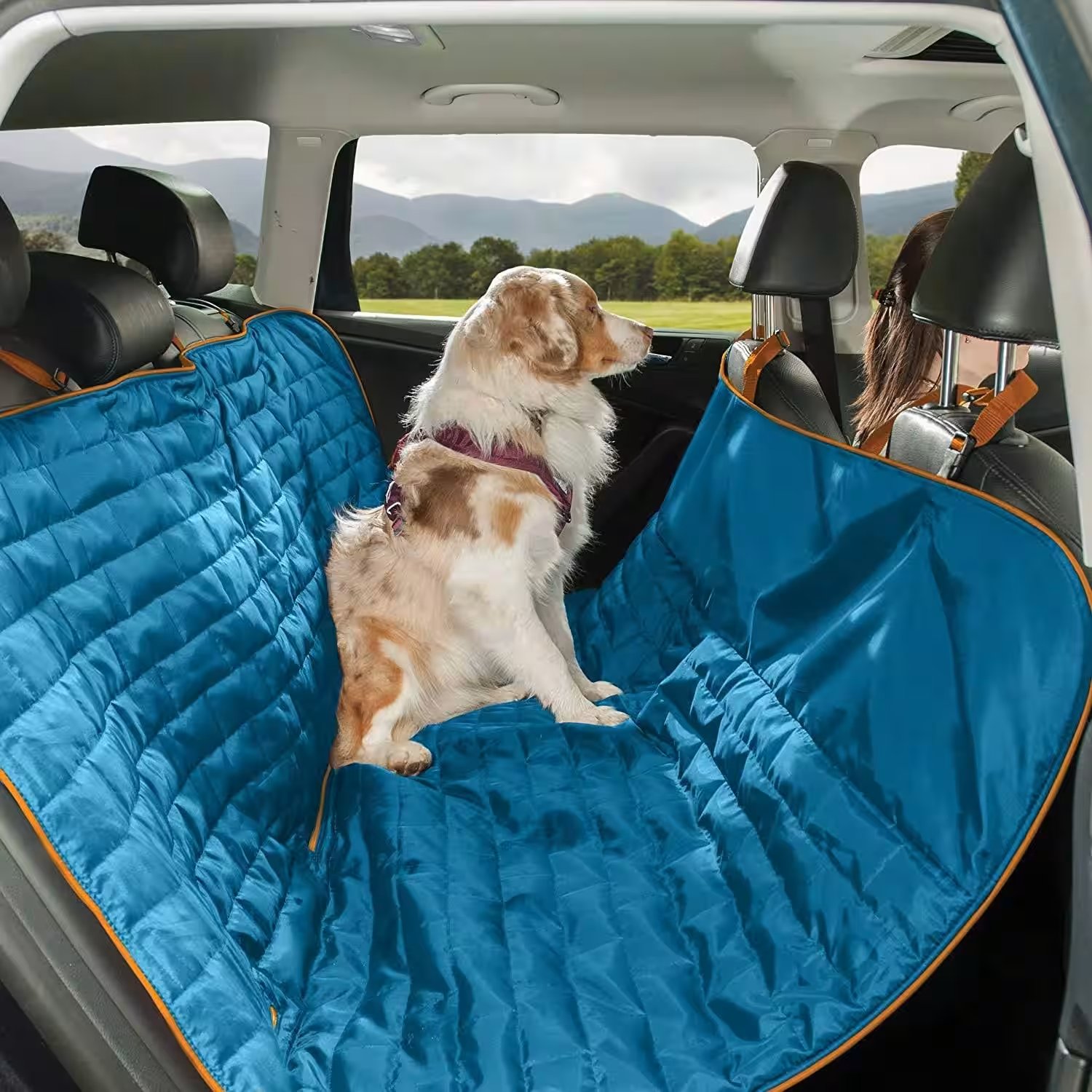 Kurgo Loft Hammock Car Seat Cover for Dogs Review