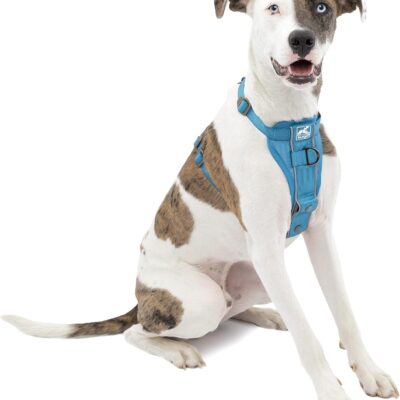 Kurgo Tru-Fit Smart Dog Car Harness Medium Review: Why 12,000+ Amazon Buyers Can't Stop Raving About It - Product Image