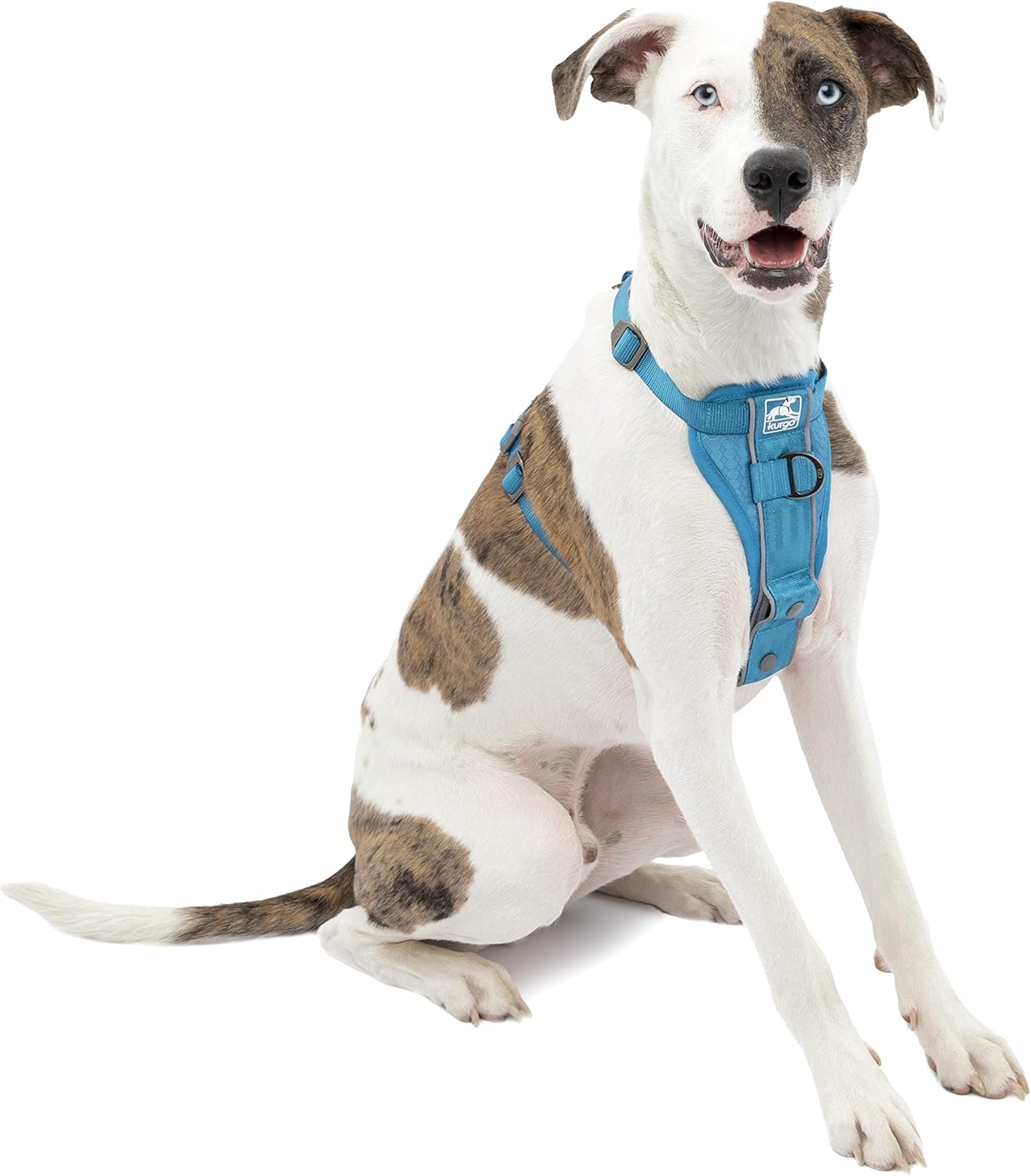 Kurgo Tru-Fit Smart Dog Car Harness Medium Review