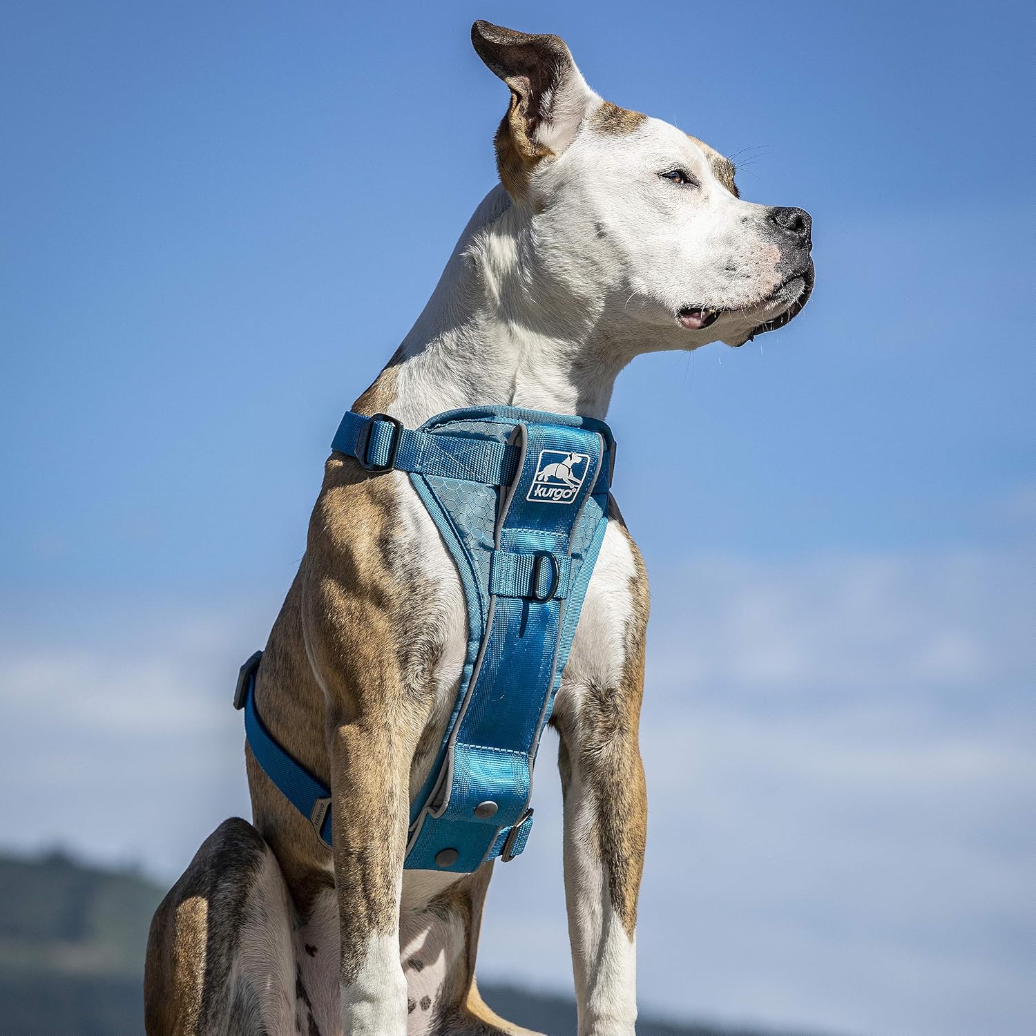 Kurgo Tru-Fit Smart Dog Car Harness Medium - Performance Testing