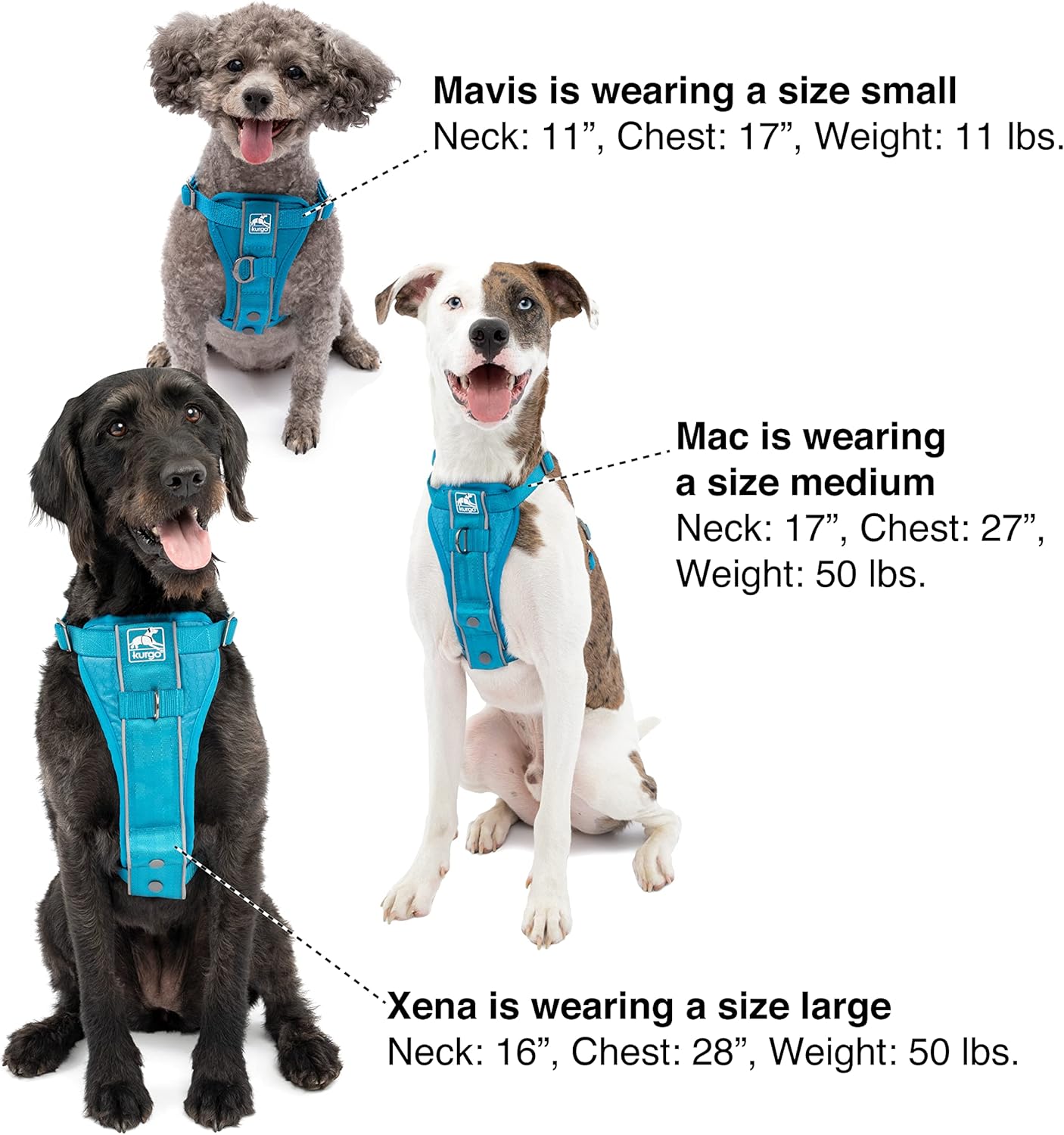 Kurgo Tru-Fit Smart Dog Car Harness Medium - How It Compares