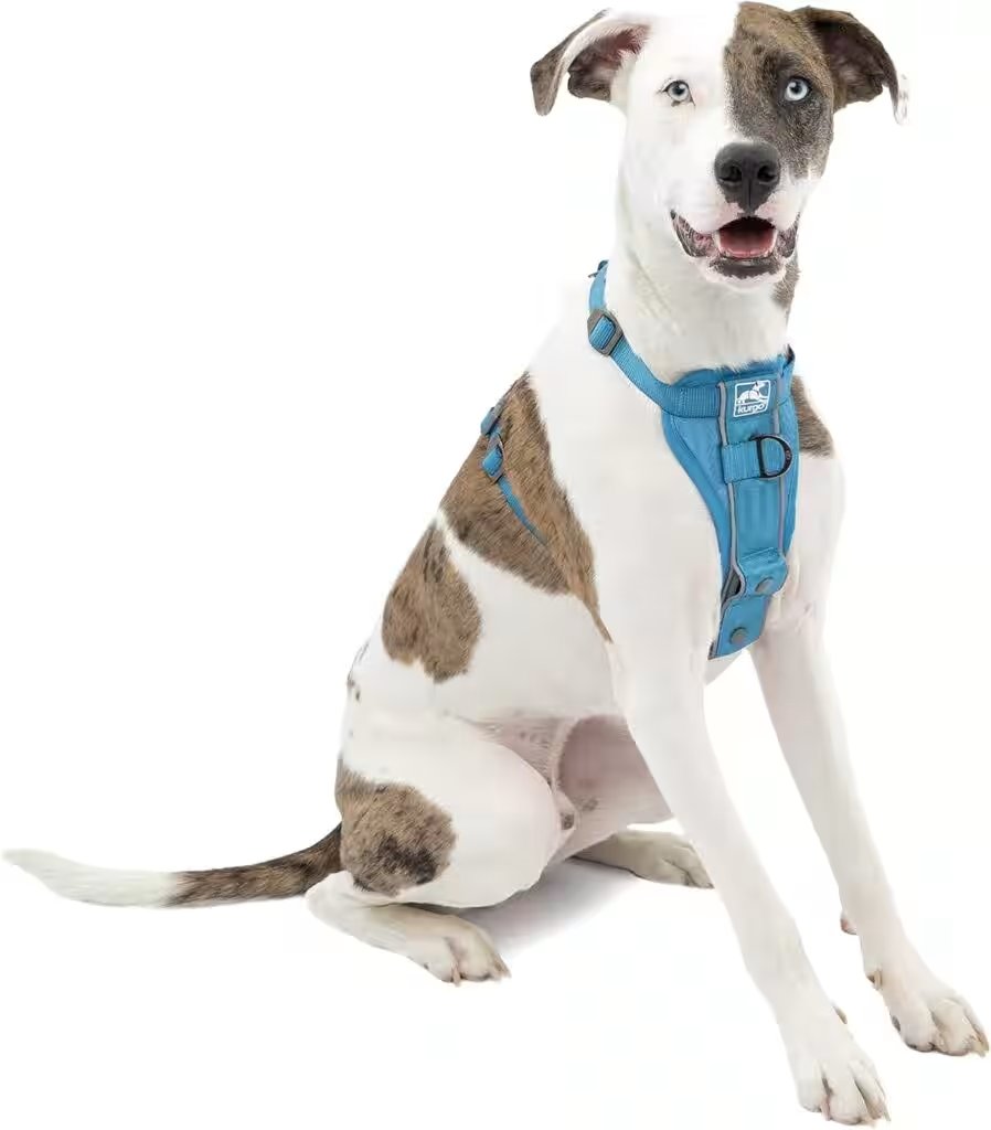 Kurgo Tru-Fit Smart Dog Walking Harness Large Review — Is It Really Worth $10 in 2026? - Product Image