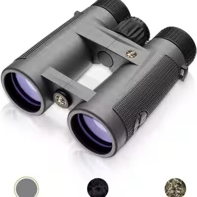 Leupold BX-4 Pro Guide HD 10x42 Binoculars Review — Is It Really Worth $65 in 2026? - Product Image