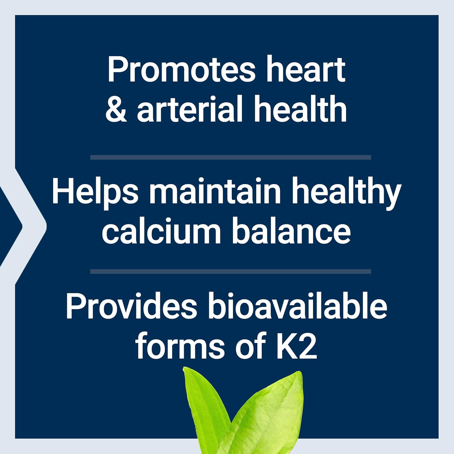 Life Extension Super K Vitamin K Complex 90 Softgels - Real-World Performance