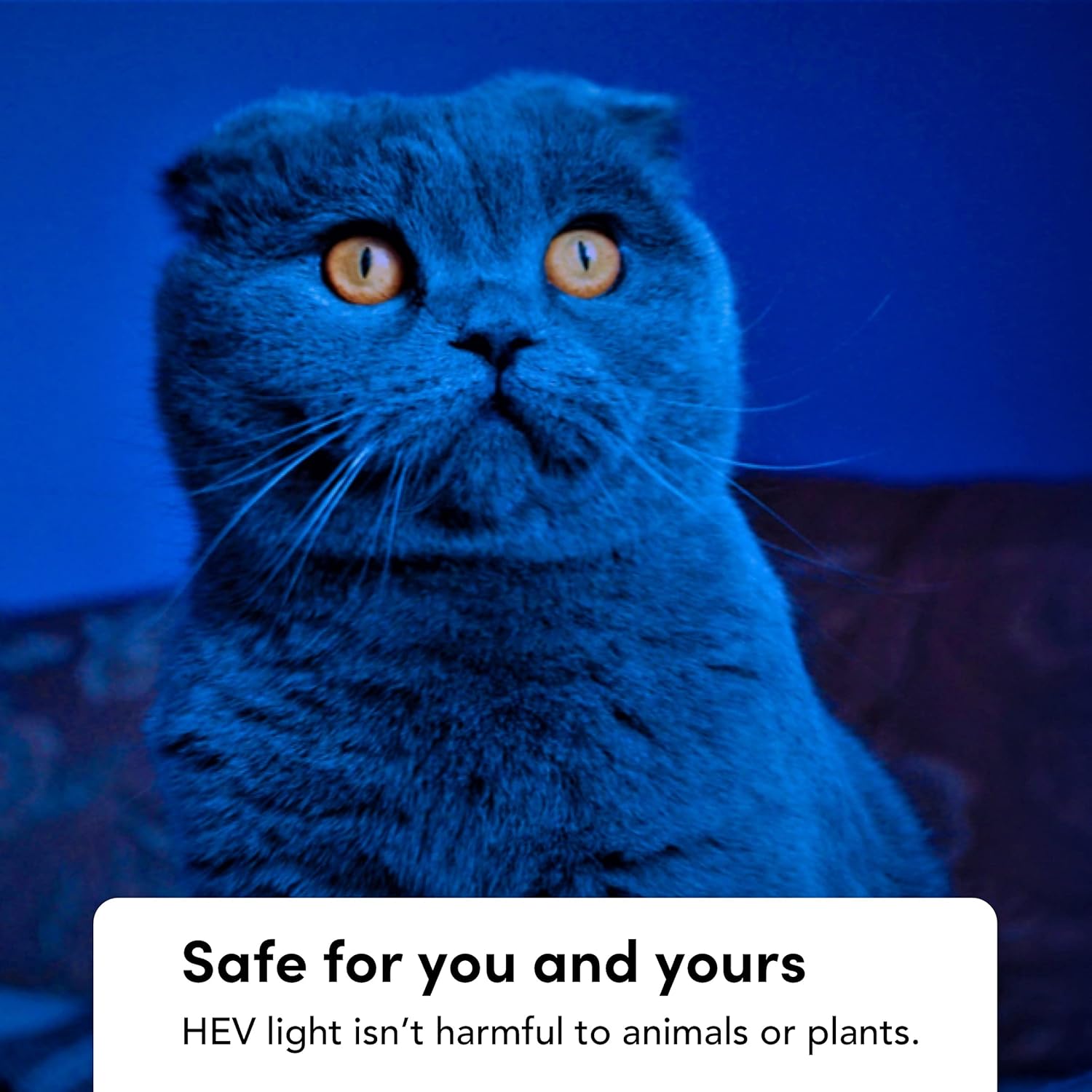 LIFX Clean A19 1100 Lumen Smart Bulb WiFi - Is It Worth the Price?