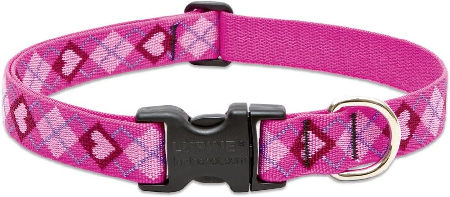 Lupine Originals Dog Collar 1 Inch Medium Review: Why 100,000+ Amazon Buyers Can't Stop Raving About It - Product Image