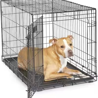 MidWest Homes for Pets iCrate Double Door Dog Crate 36 Inch Review: Why 15,000+ Amazon Buyers Can't Stop Raving About It - Product Image