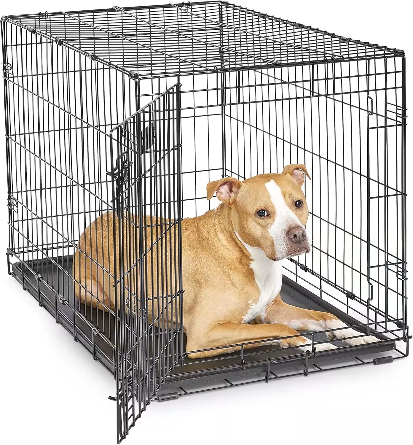 MidWest Homes for Pets iCrate Double Door Dog Crate 36 Inch Review