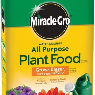 Miracle-Gro All Purpose Plant Food 5 lb Review 2026: Is the Amazon Bestseller Worth the Hype? - Product Image