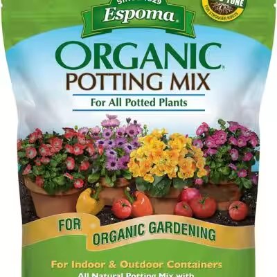Miracle-Gro Indoor Potting Mix 6 Qt Review — The Amazon Favorite With 30,000+ Ratings Put to the Test - Product Image