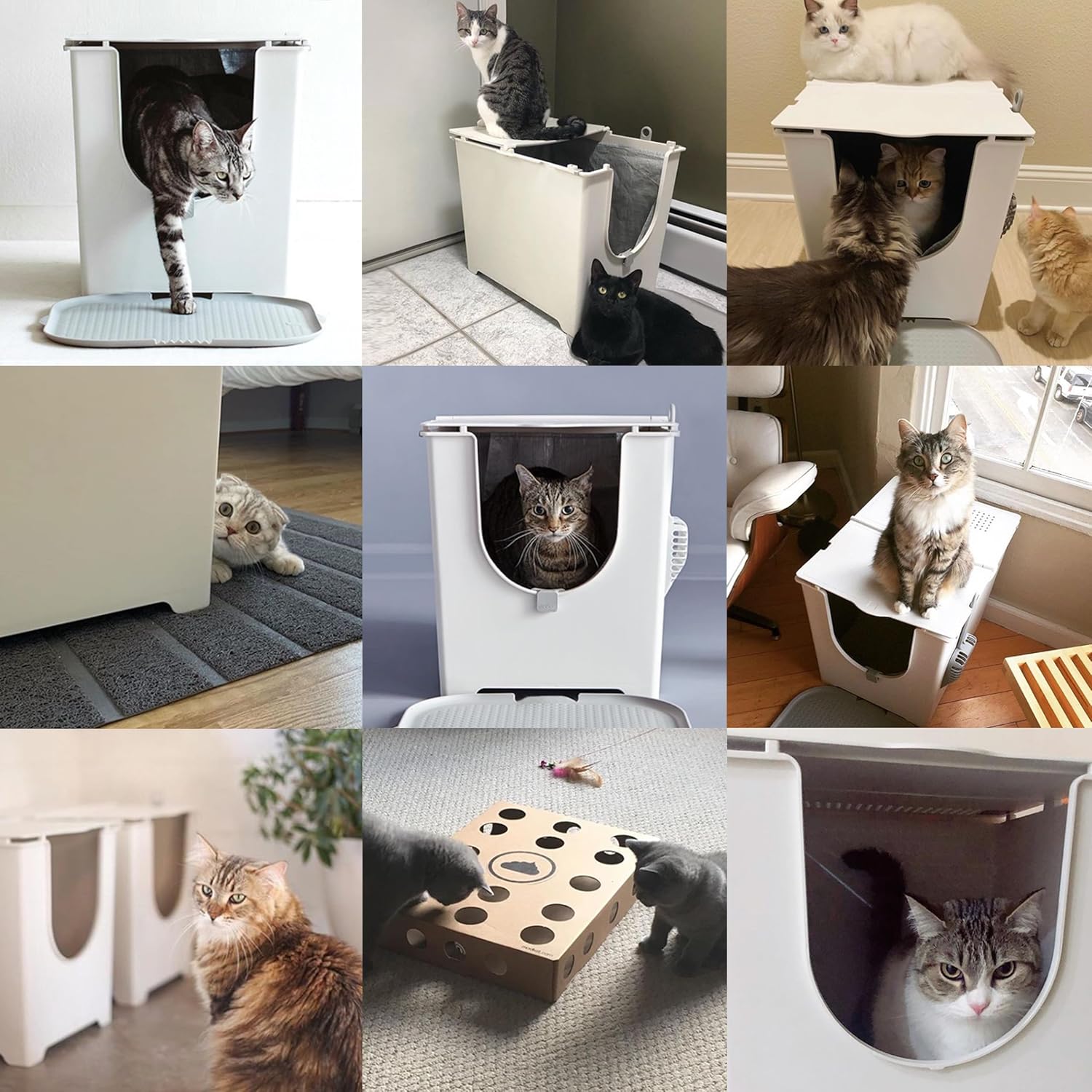 Modkat Flip Litter Box with Reusable Liner - Is It Worth the Price?