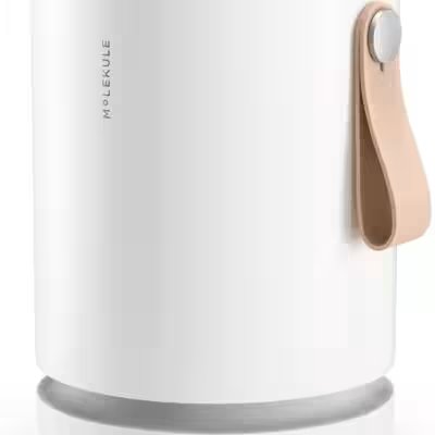 Molekule Air Mini+ PECO Air Purifier 250 sq ft Review — The Amazon Favorite With 12,000+ Ratings Put to the Test - Product Image