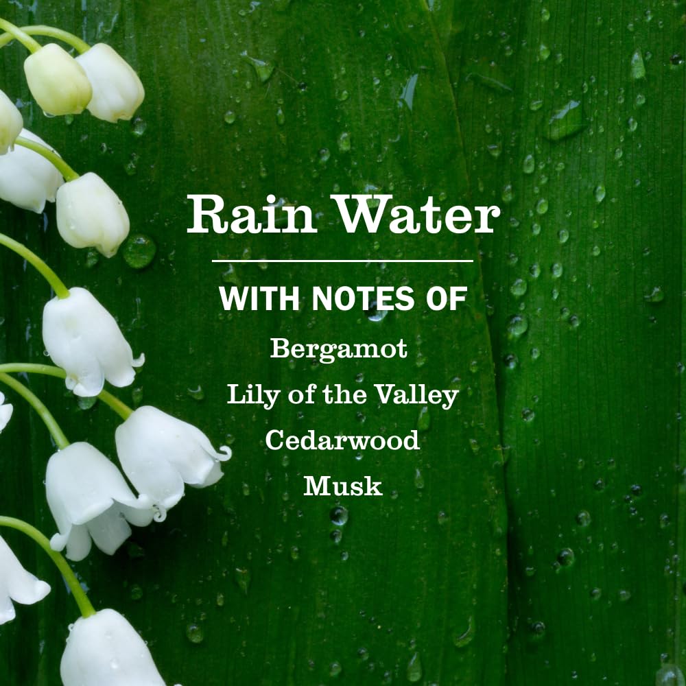 Mrs. Meyer's Clean Day Hand Soap - The Value Equation