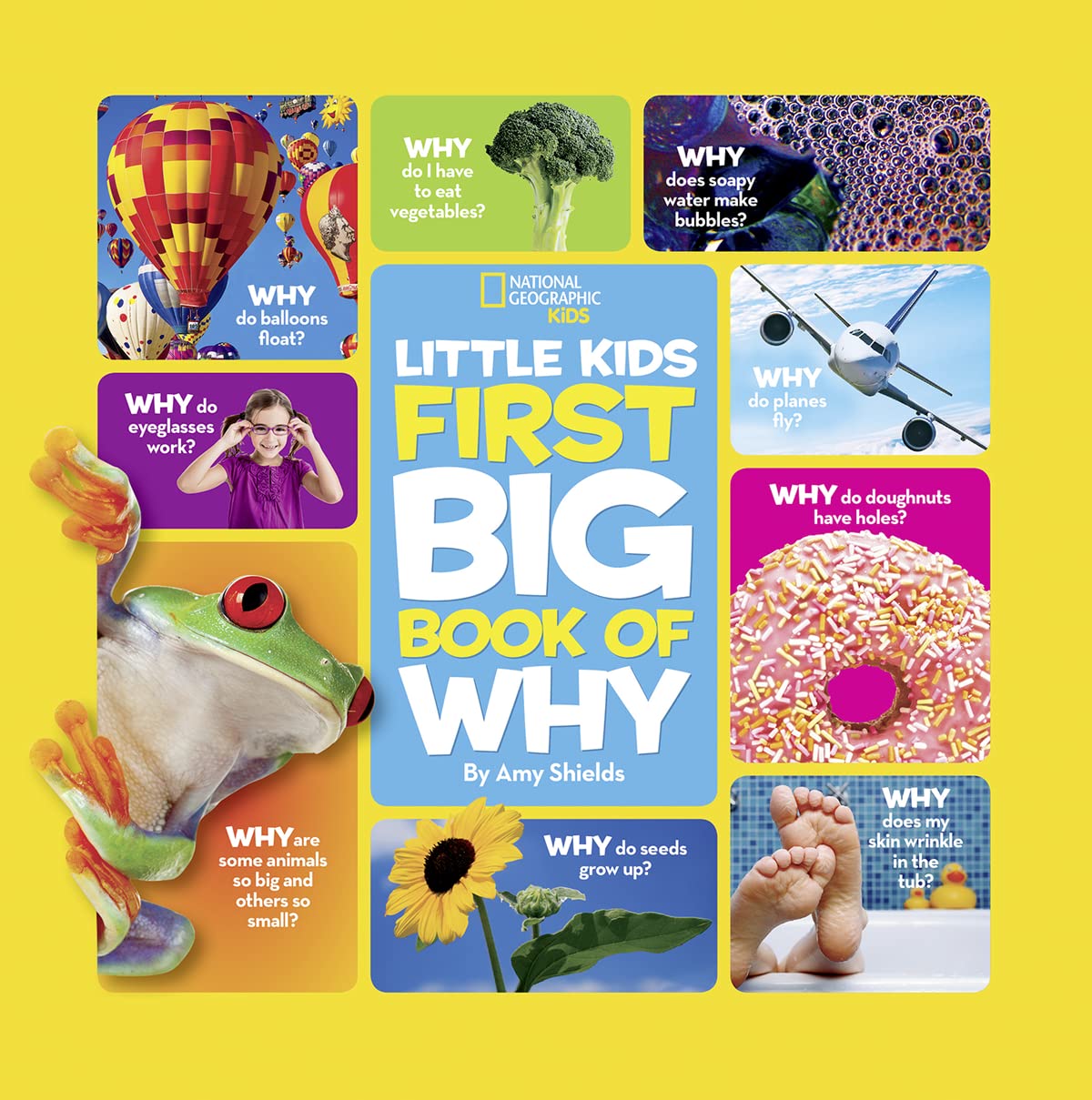 National Geographic Little Kids First Big Book of Why Review