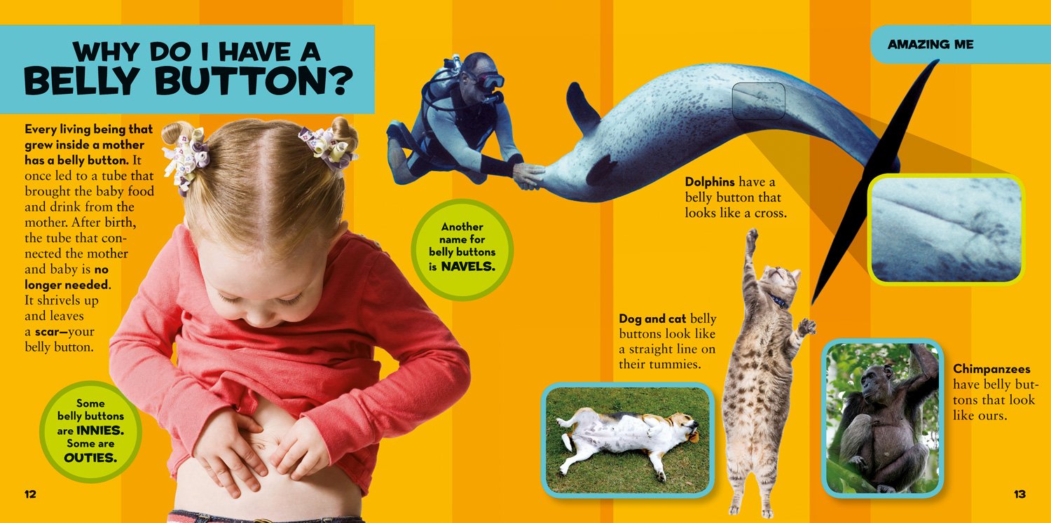 National Geographic Little Kids First Big Book of Why - Performance: Where It Counts