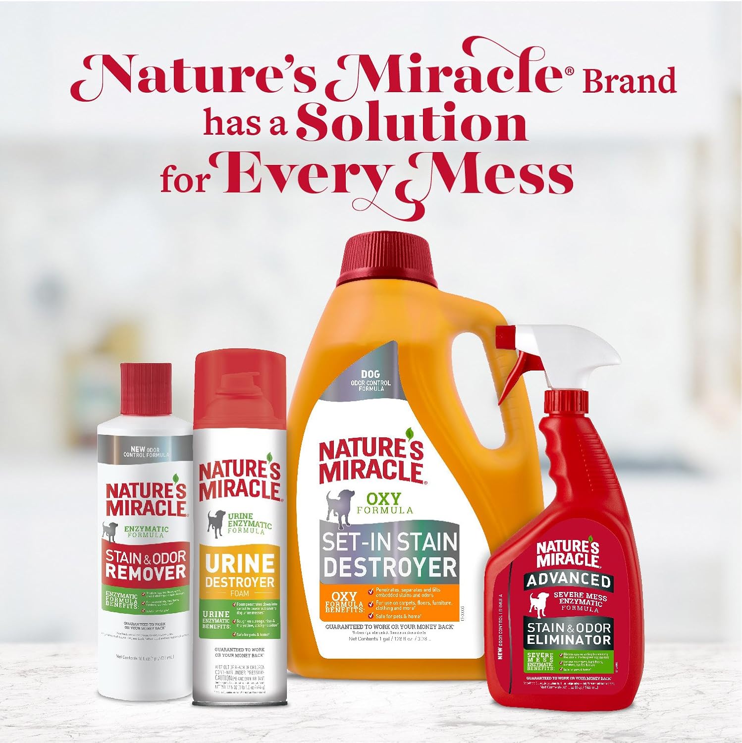 Nature's Miracle Advanced Stain Odor Eliminator Dog 1 Gallon - How It Compares