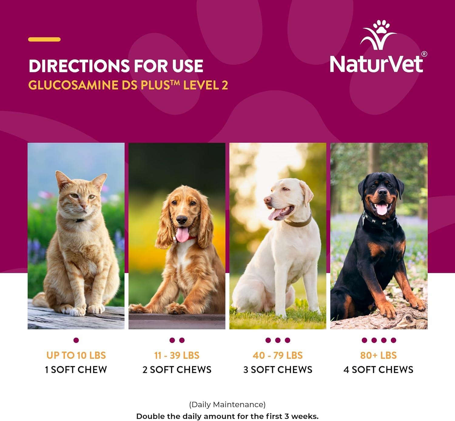 NaturVet Glucosamine DS Plus Level 2 Joint Support 120 Chews - Is It Worth the Price?