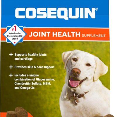 Nutramax Cosequin DS Plus MSM Joint Health 120 Chews Review: Best Pet Supplies Pick Under $30? - Product Image