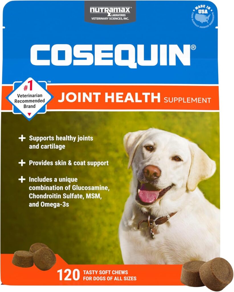 Nutramax Cosequin DS Plus MSM Joint Health 120 Chews Review: Best Pet Supplies Pick Under $30? - Product Image