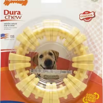 Nylabone DuraChew Textured Ring Dog Chew Large Review — The Amazon Favorite With 8,000+ Ratings Put to the Test - Product Image