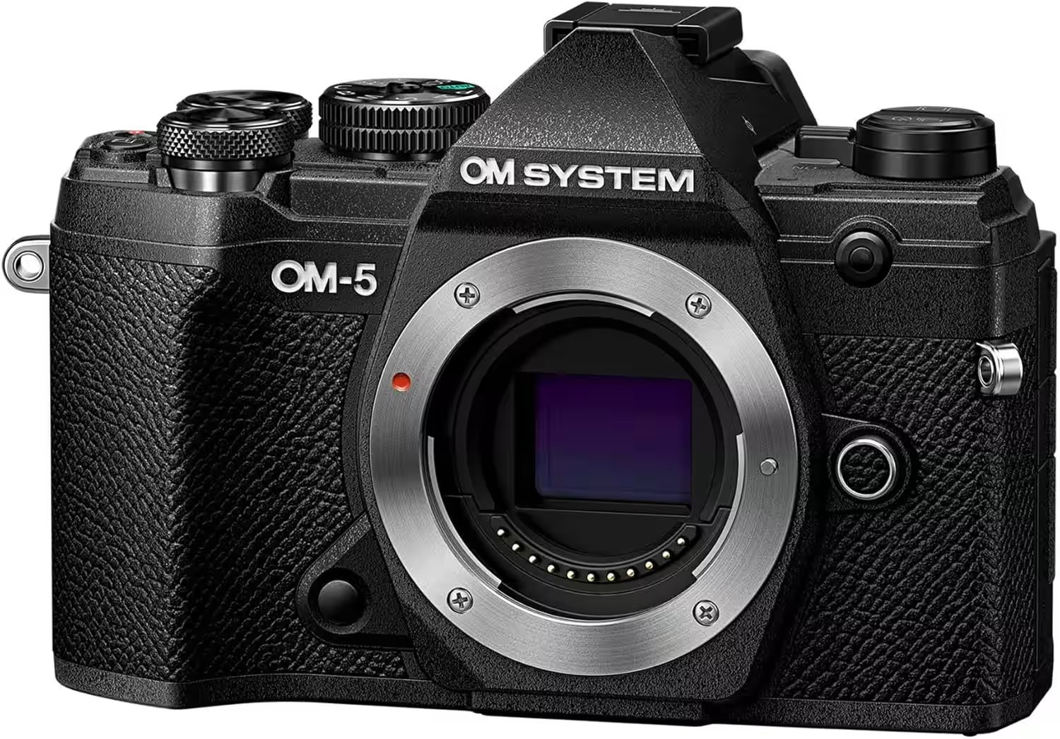 Olympus OM-5 Mirrorless Camera Body M43 Review