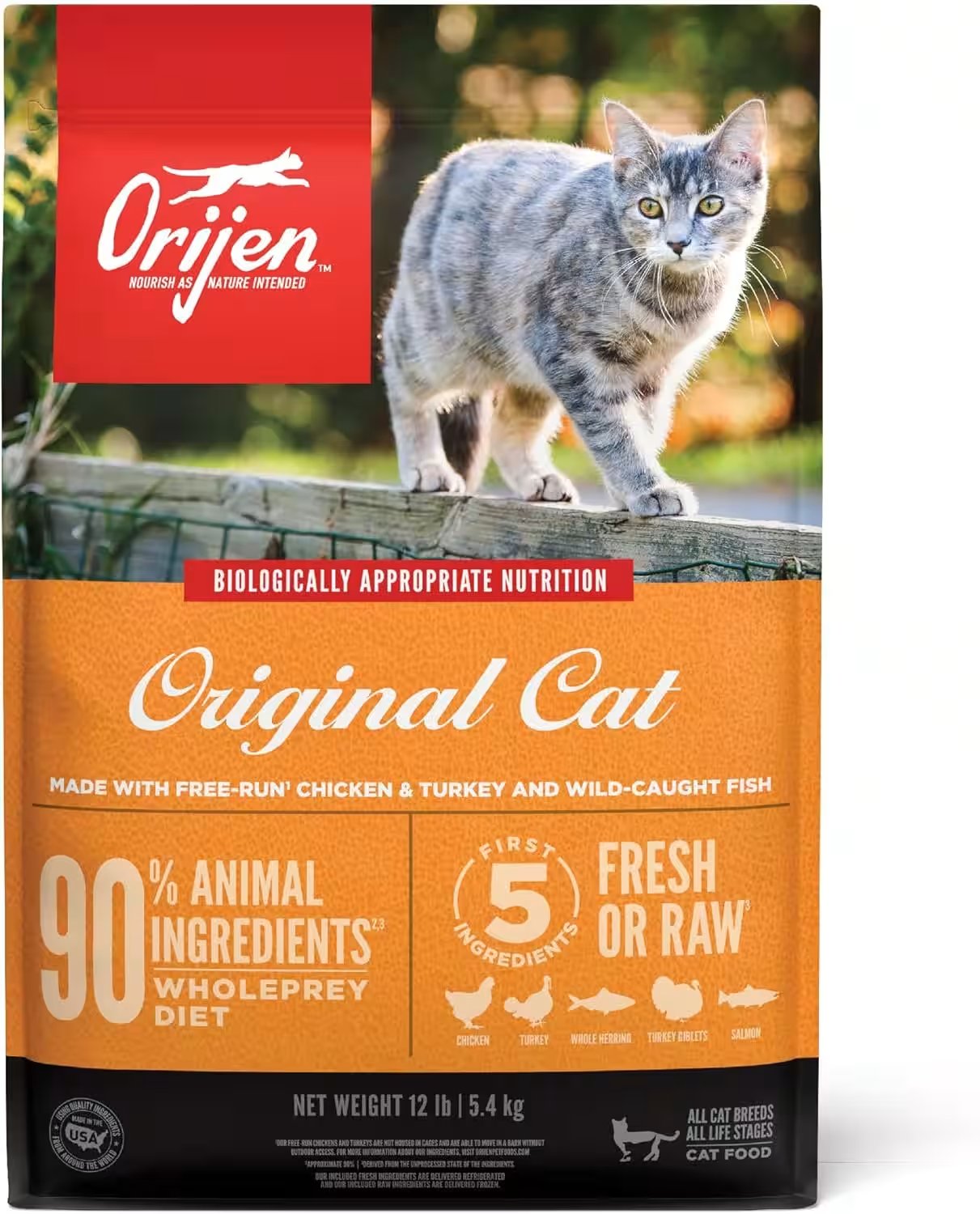Orijen Cat Kitten Grain Free Dry Cat Food 12 Lbs Review