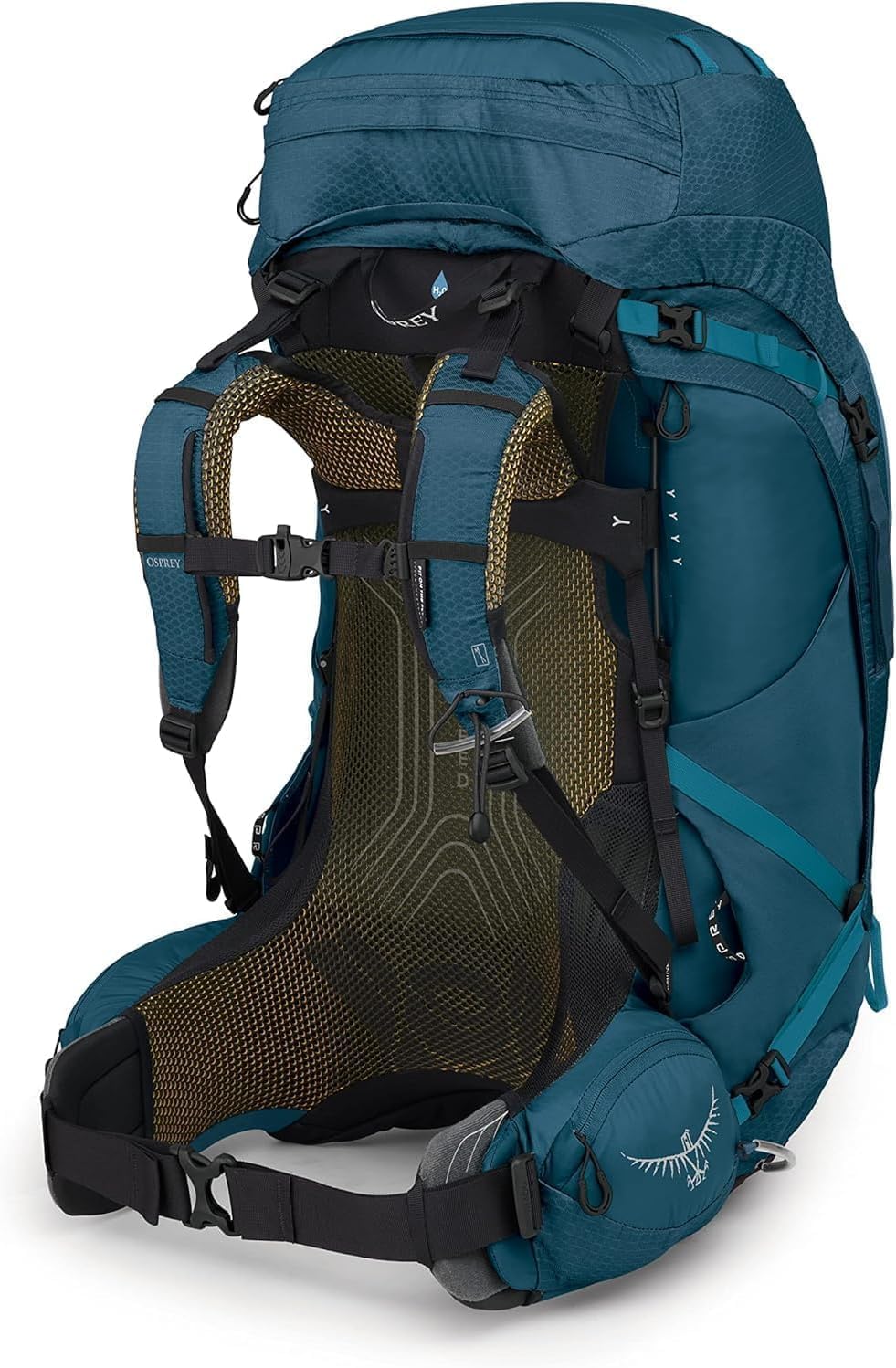 Osprey Atmos AG 65 Mens Backpacking Backpack - Is It Worth the Price?