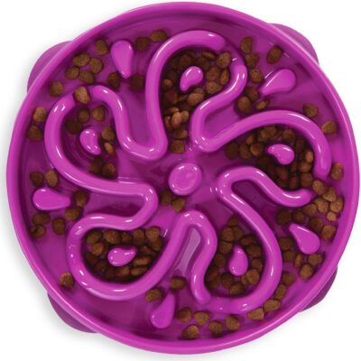 Outward Hound Fun Feeder Slo Bowl Dog Bowl Review 2026: Is the Amazon Bestseller Worth the Hype? - Product Image