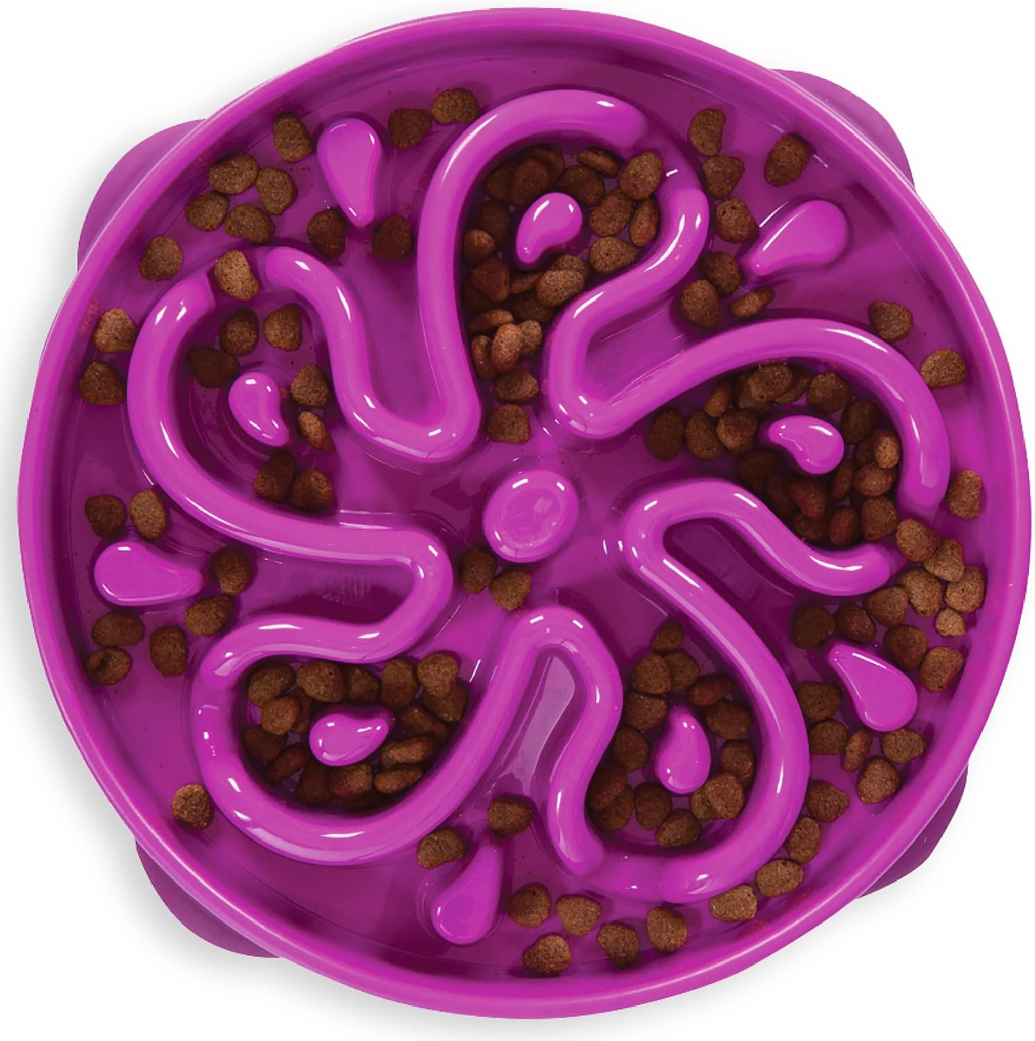 Outward Hound Fun Feeder Slo Bowl Dog Bowl Review