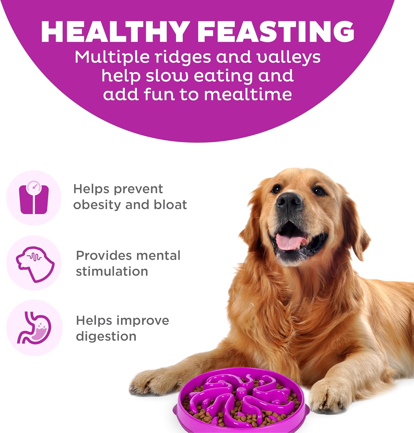 Outward Hound Fun Feeder Slow Bowl - Performance Under Pressure