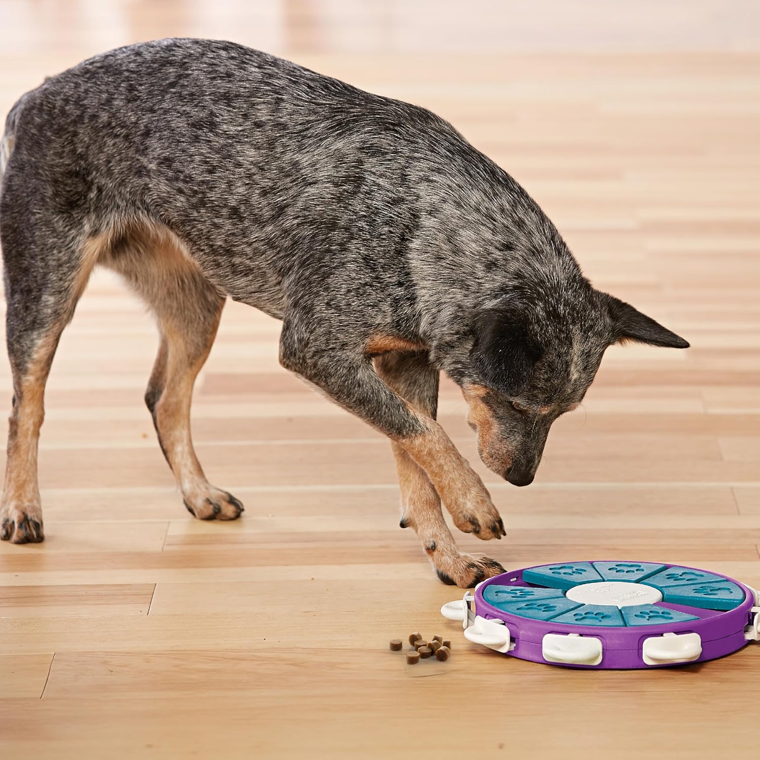 Outward Hound Nina Ottosson Dog Puzzle Toy Level 3 - Final Verdict