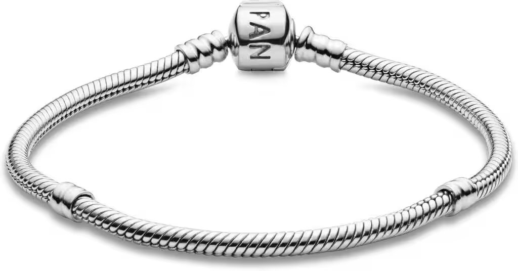 Pandora Moments Snake Chain Charm Bracelet Sterling Silver Review 2026: Our Honest Verdict After Weeks of Testing - Product Image