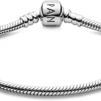 Pandora Moments Snake Chain Charm Bracelet Sterling Silver Review 2026: Our Honest Verdict After Weeks of Testing - Product Image