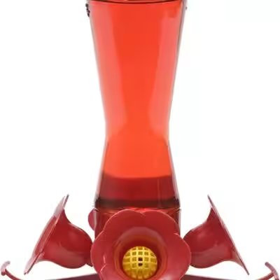 Perky-Pet Pinch Waist Glass Hummingbird Feeder 8oz Review: Why This 4.6-Star Amazon Best-Seller Deserves the Hype - Product Image