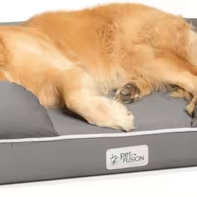 PetFusion Ultimate Dog Bed Orthopedic Memory Foam Large Review: The 50,000+-Review Amazon Hit — Worth Your Money? - Product Image