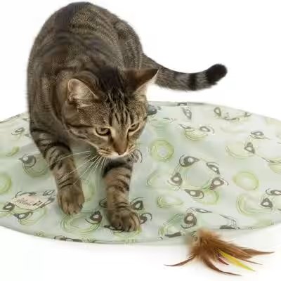 Petlinks Mystery Motion Electronic Cat Toy Review: 60,000+ Reviews Can't Be Wrong — Or Can They? - Product Image