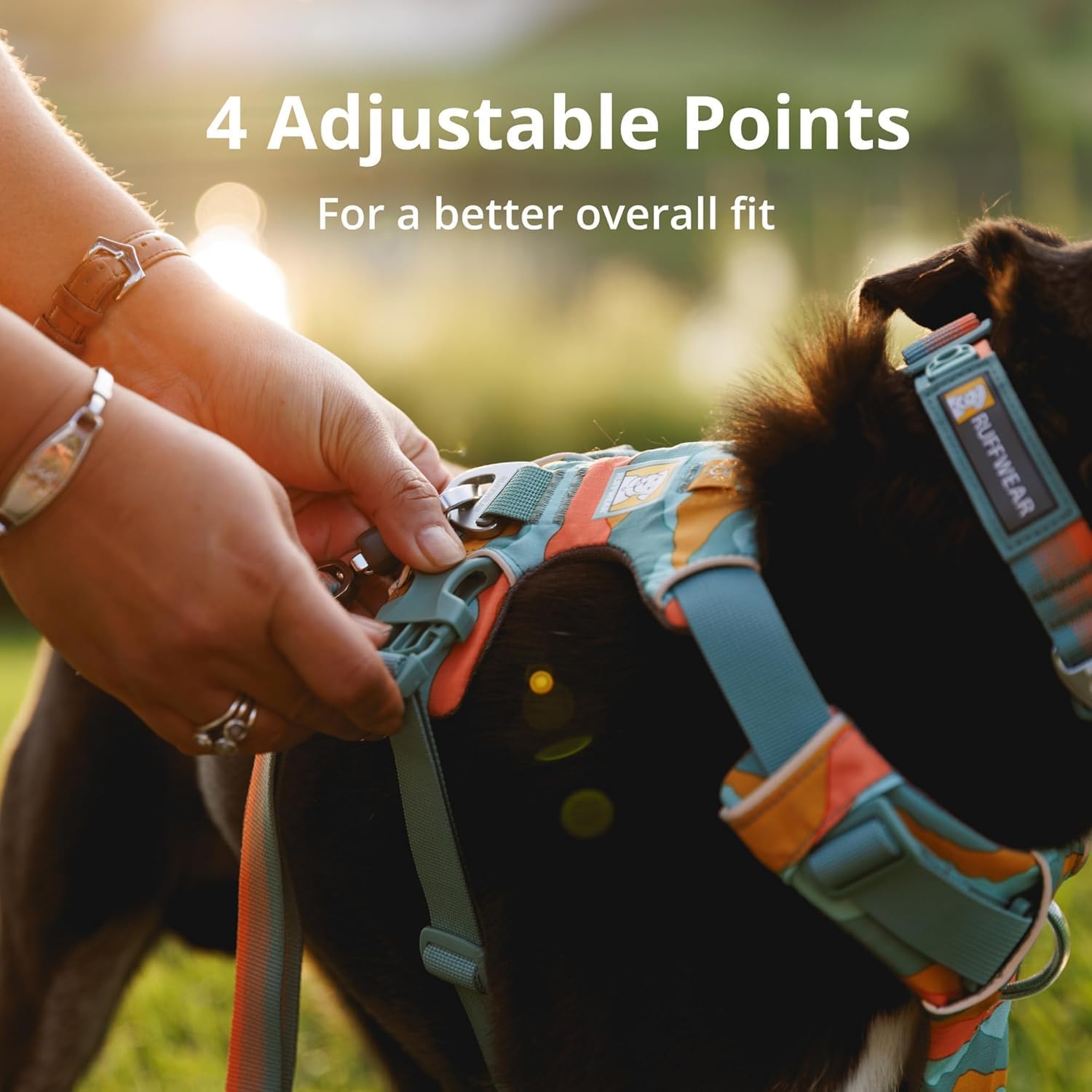 PetSafe Easy Walk Dog Harness Medium - Is It Worth the Price?