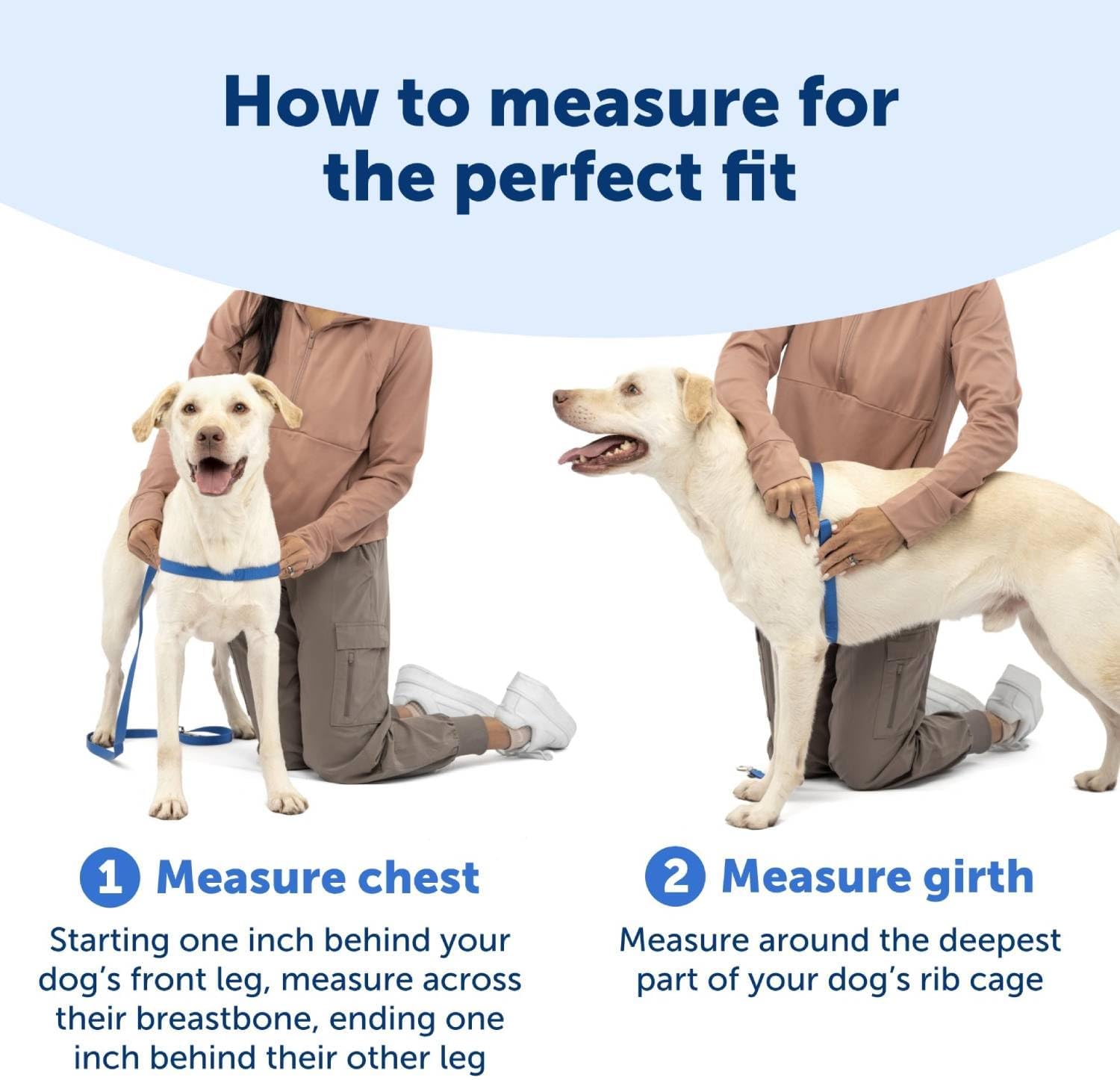 PetSafe Easy Walk Dog Harness No Pull Adjustable - How It Compares