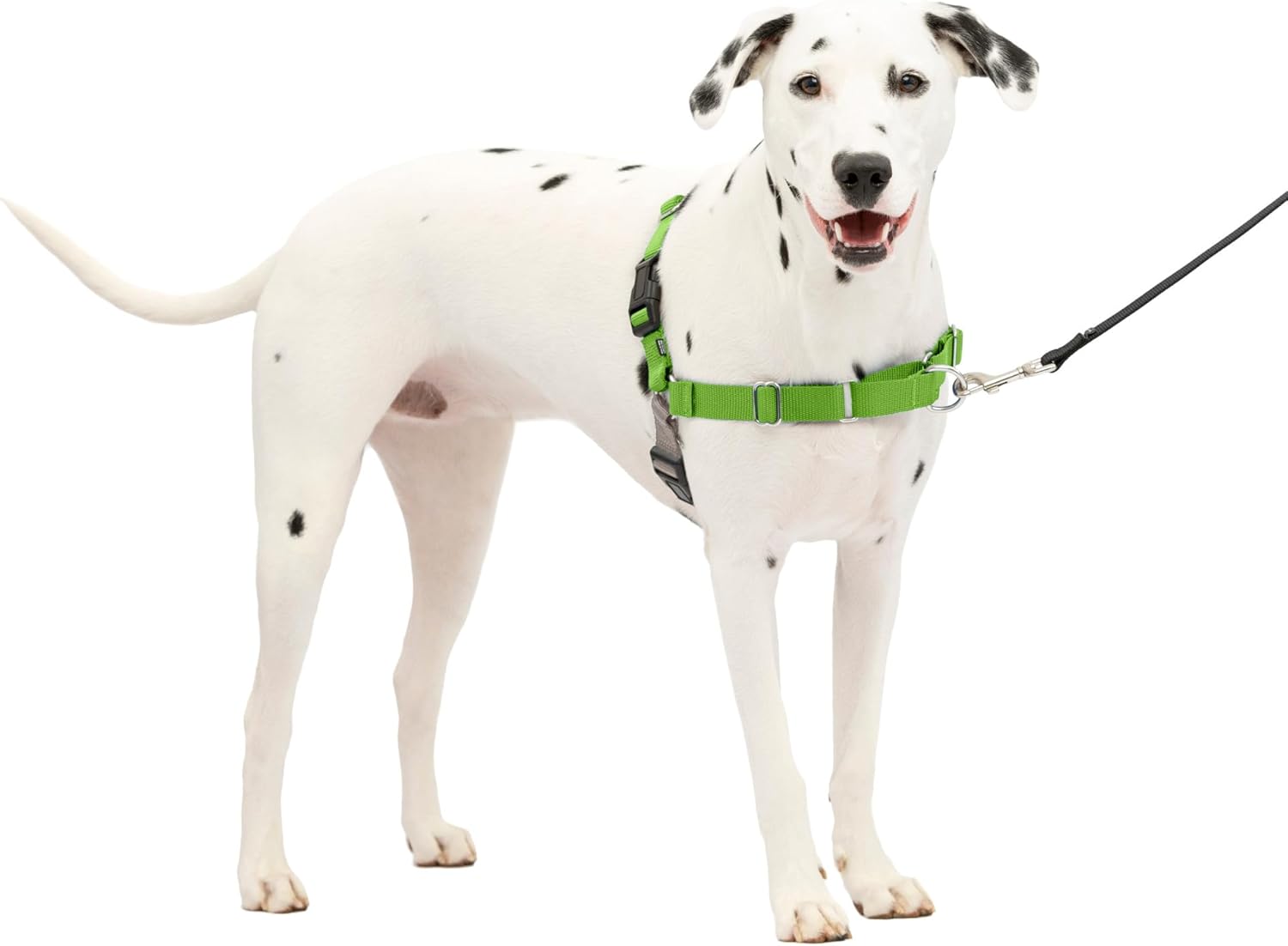 PetSafe Easy Walk Dog Harness No Pull Adjustable - Is It Worth the Price?