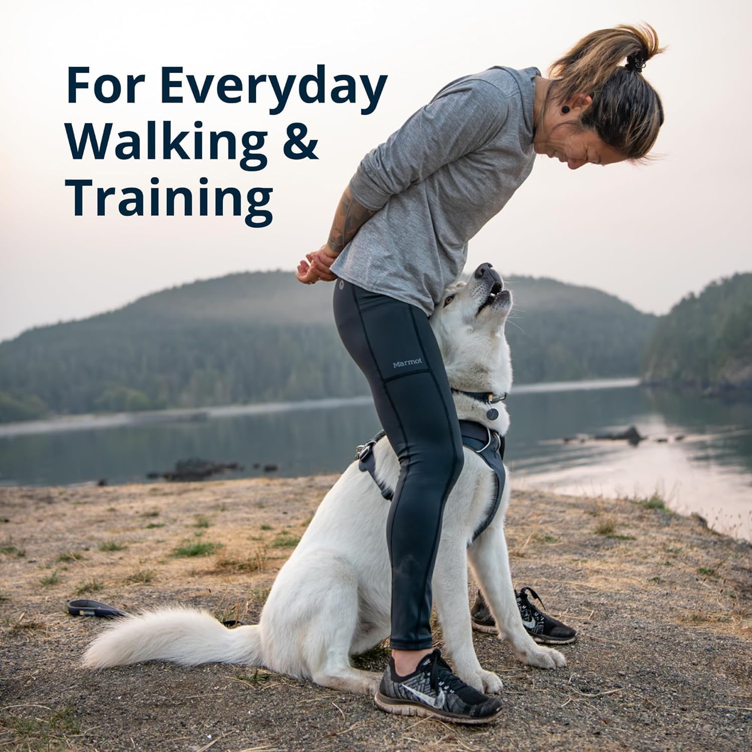 PetSafe Easy Walk Dog Harness - Look, Feel, and Construction