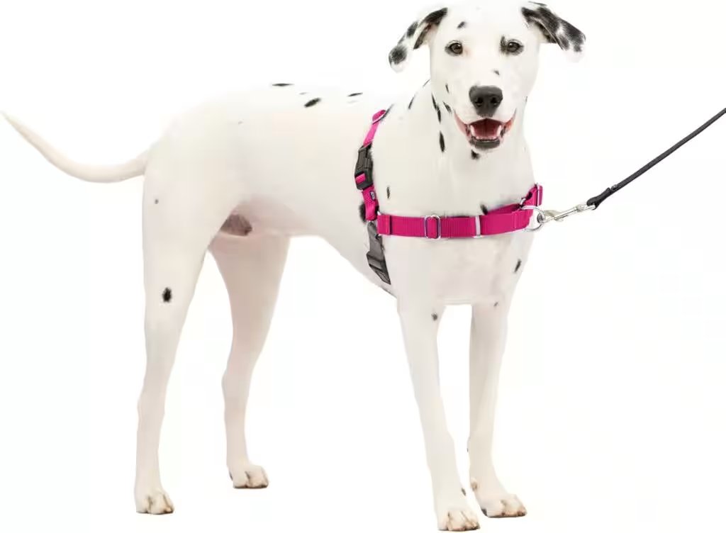 PetSafe Easy Walk No-Pull Dog Harness, Medium/Large Review: Why This 4.3-Star Amazon Best-Seller Deserves the Hype - Product Image