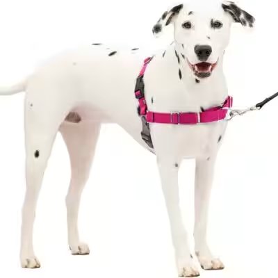 PetSafe Easy Walk No-Pull Dog Harness, Medium/Large Review: Why This 4.3-Star Amazon Best-Seller Deserves the Hype - Product Image