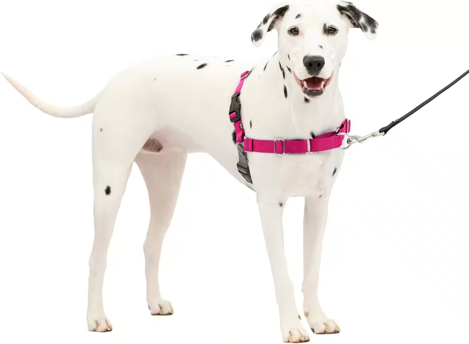 PetSafe Easy Walk No-Pull Dog Harness, Medium/Large Review