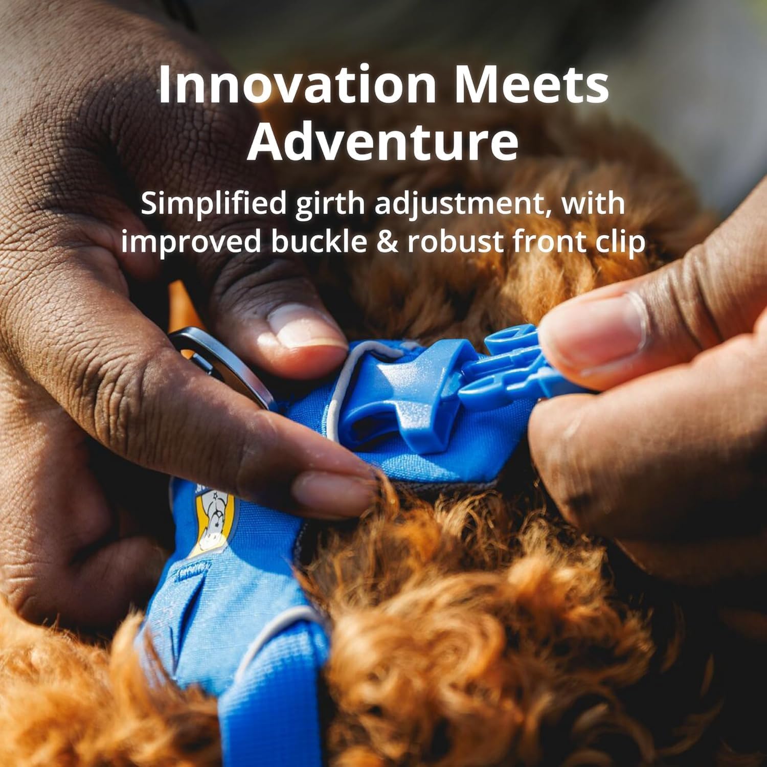 PetSafe Easy Walk No-Pull Dog Harness Medium - Real-World Performance