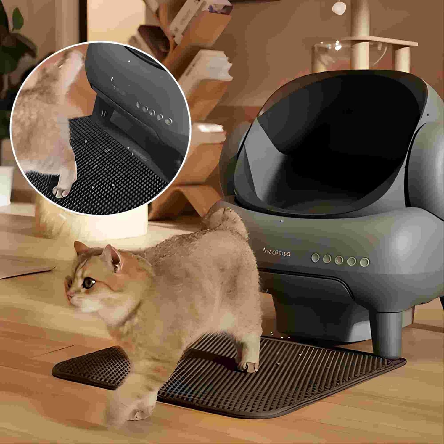 PetSafe ScoopFree Self-Cleaning Litter Box - Is It Worth the Price?