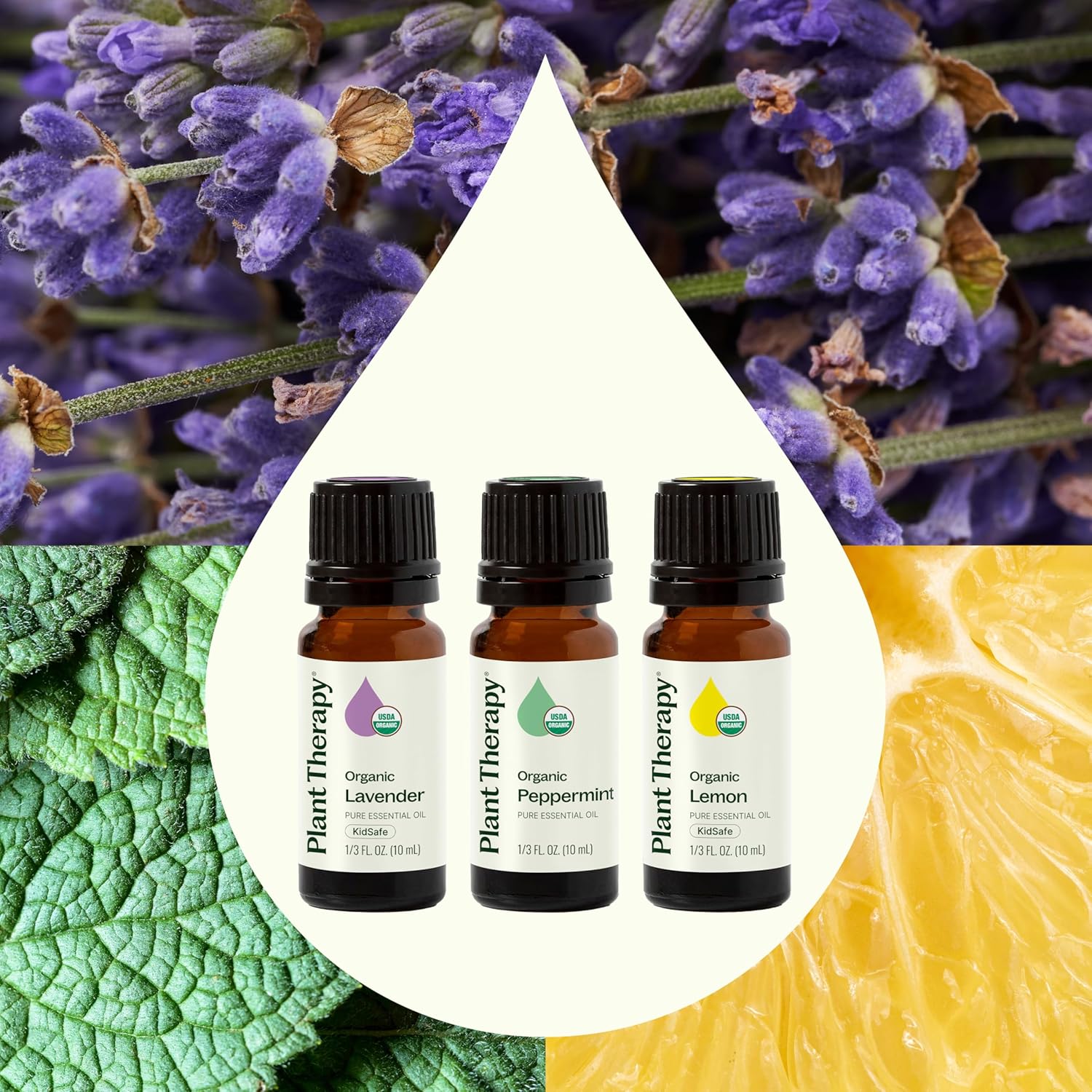 Plant Therapy Essential Oils Set 6-Pack - Is It Worth the Price?